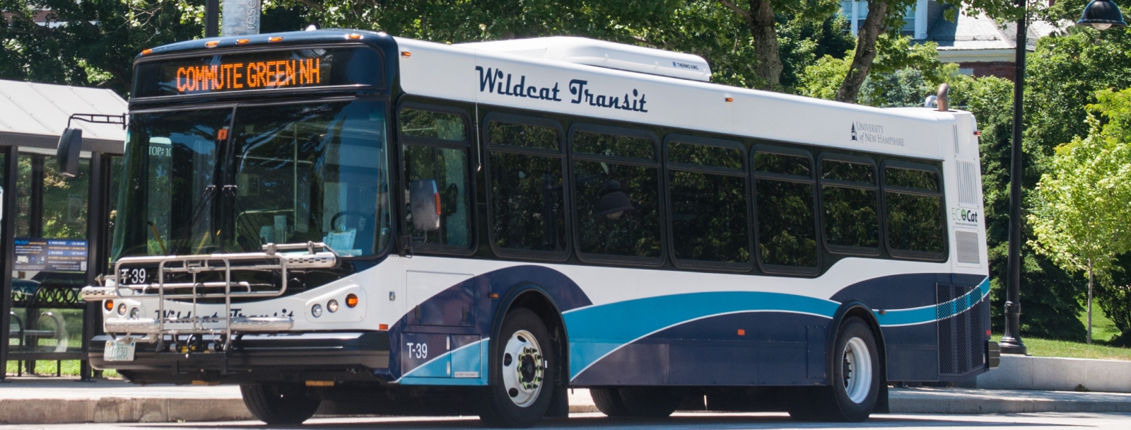 WildCat Bus transit